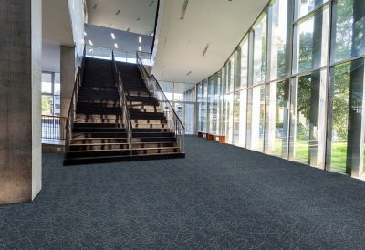 Blue, Grey and White EcoFlex Matrix