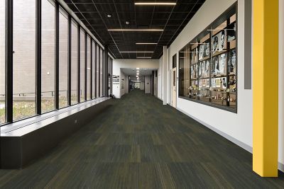 Green and Yellow EcoFlex Matrix