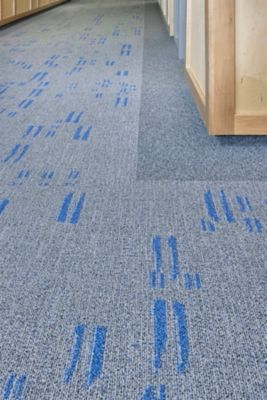 Appleby College - discoverD 855 Windswept - New Basics III Tile 964 Smokestack