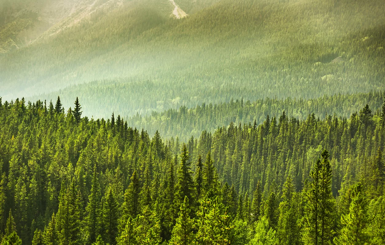 The Climate Pledge
