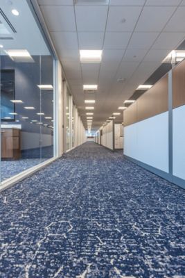 Financial Firm - Pathmakers - Pollinator Path in 565