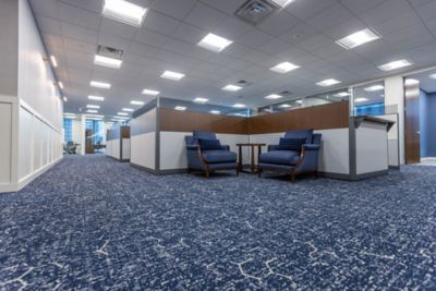 Financial Firm - Cincinnati - Pollinator Path, Pathmakers Collection