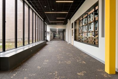 K12 - Yellow and Gold Palette