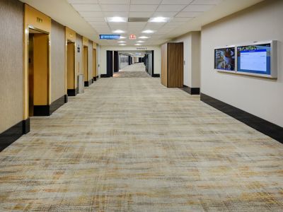 Hilton Chicago O'Hare Airport - Definity