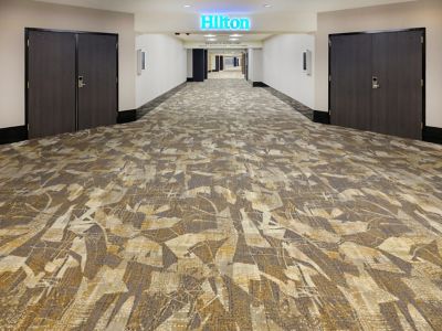 Hilton Chicago O'Hare Airport - Definity