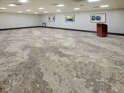 Hilton Chicago O'Hare Airport - Definity