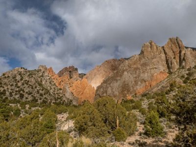 Infuse 028 Inspiration