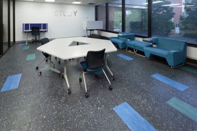 Meharry Medical College - Chromascope & Terrazzo - LVT