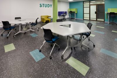 Meharry Medical College - Chromascope & Terrazzo - LVT