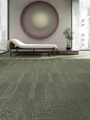 MultiSensory - Carpet Collection