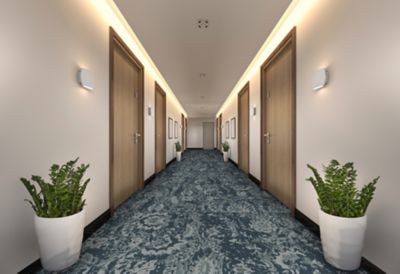 Slips, Trips, and Falls - White Paper