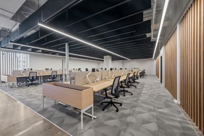 Temenos Innovation Hub - Art Exposure, Enlivened in 924 Platinum