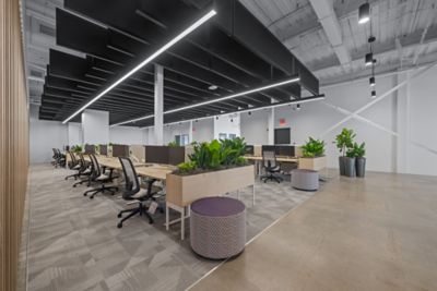 Temenos Innovation Hub - Art Exposure, Enlivened in 924 Platinum