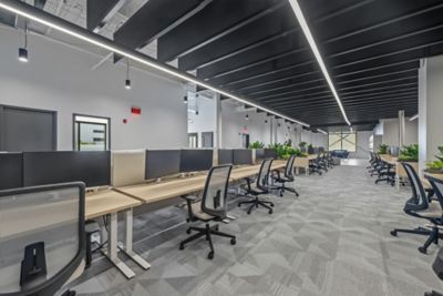 Temenos Innovation Hub - Art Exposure, Enlivened in 924 Platinum