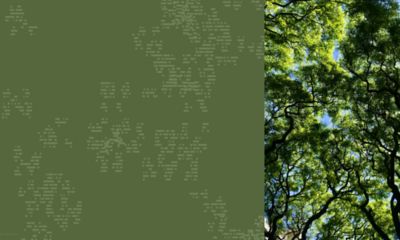 The Visual Language of Fractals - Integrating Fractal-Based Design for Stress Reduction