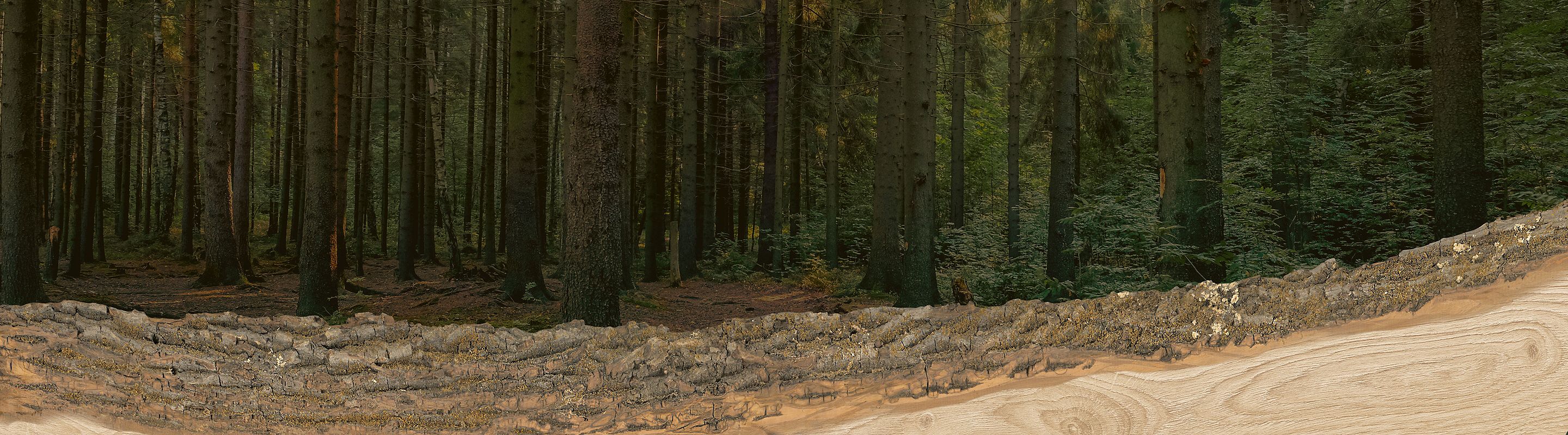 boy hugging dog while laying on hardwood floors