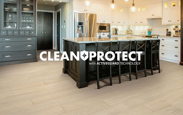 <h2>CleanProtect</h2>