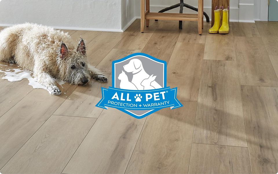 <h2>All Pet Protection &#38; Warranty</h2>
