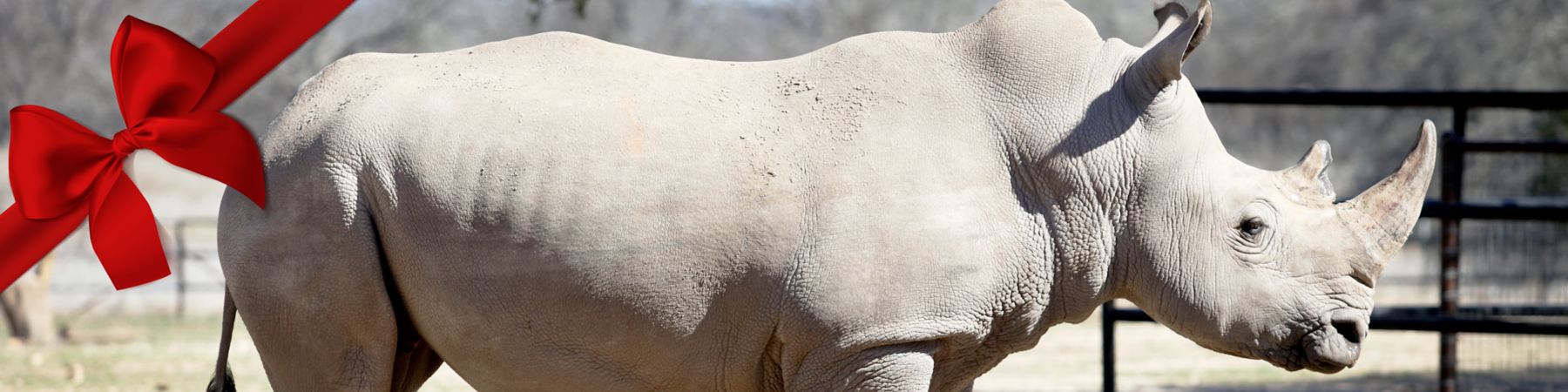 Rhino Tested Rhino Approved