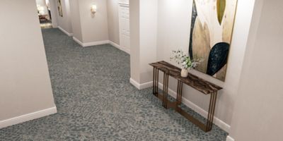 Serenique 001 - SLC41