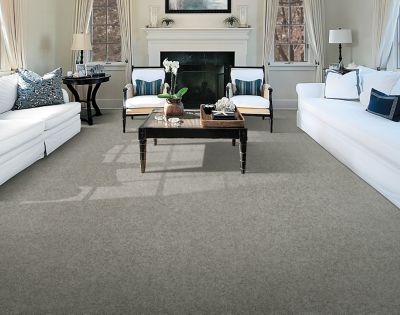 Product Line SmartStrand Style Delightful Charm(43611) Color