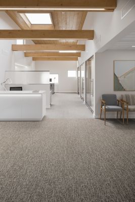 Healthy Environments Carpet - Baccharis, 877 Hopi - Carpet Tile