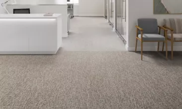 Healthy Environments - Baccharis - Carpet Tile