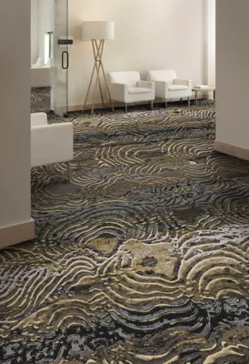 Domicile - Balance Refresh - Broadloom