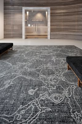 Expanding Influence - Connecting Neurons - Calaratta 956 - Definity Broadloom