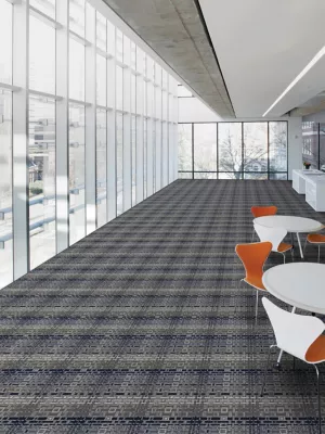 Domicile - Consul - Broadloom