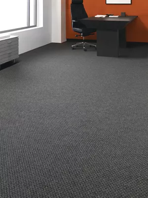 Pure Genius II - Doctor II - Broadloom