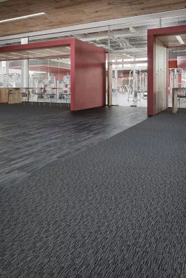 Learn and Live - Interplay - Broadloom