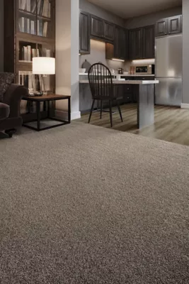 Residence - Mill Avenue - Broadloom