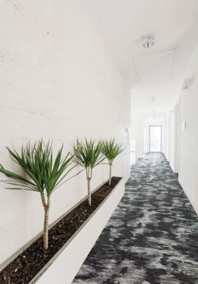 Expanding Influence - Nimble Breeze - Agate 966 - Definity Broadloom
