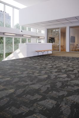 Learn and Live - Proficient, 961 - Sabbatical, 159 - Carpet Tile
