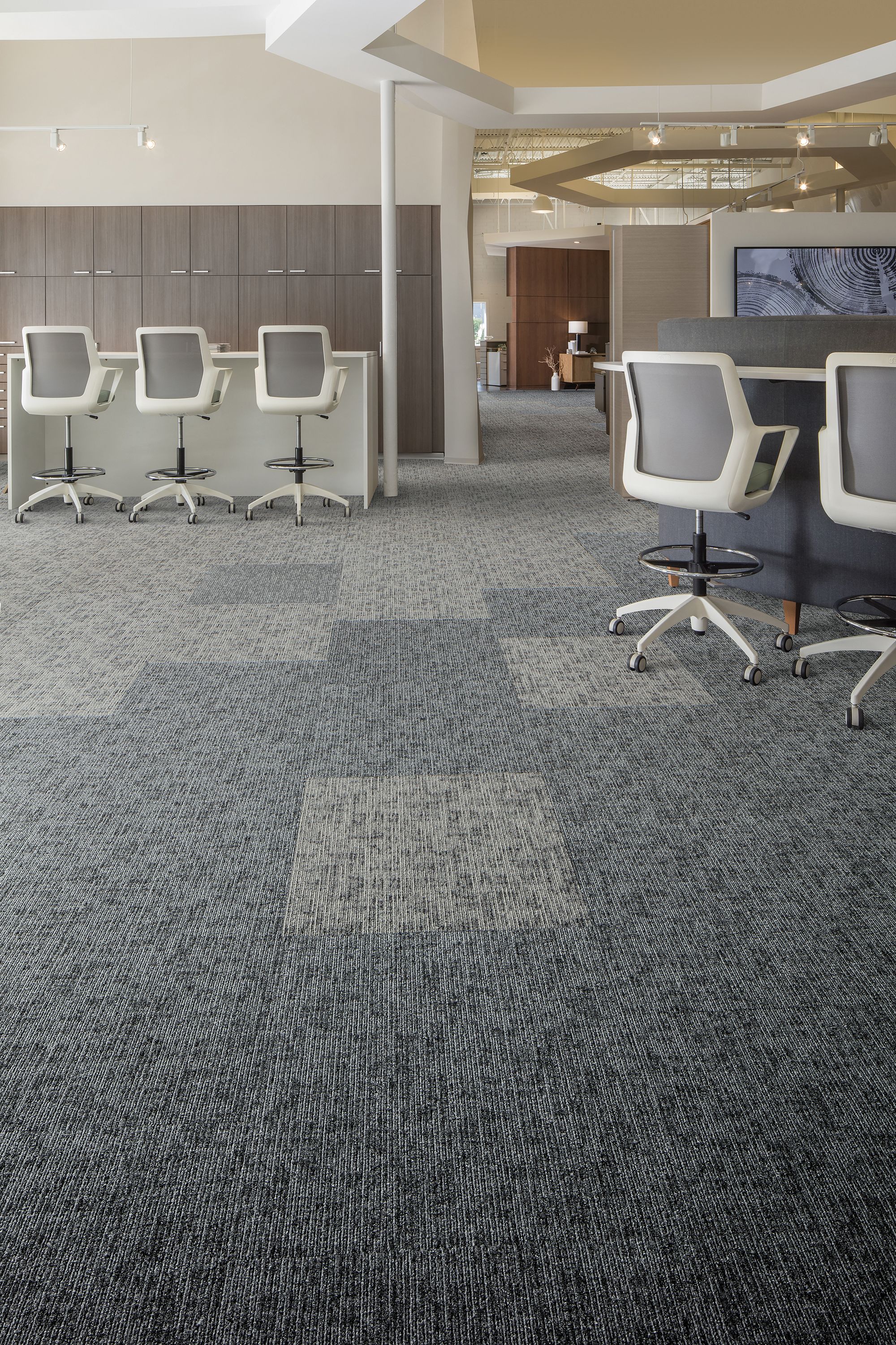 Zoom Carpet Graphic – ZDecals