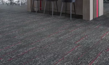 Learn and Live - Side Stripe - Carpet Tile