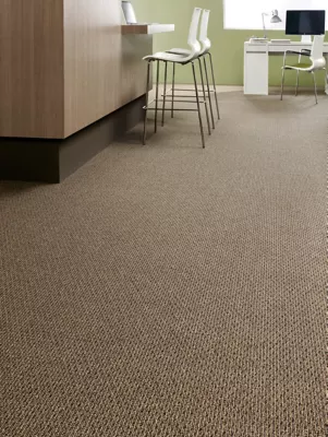 Explorations - Trail Mix - Broadloom