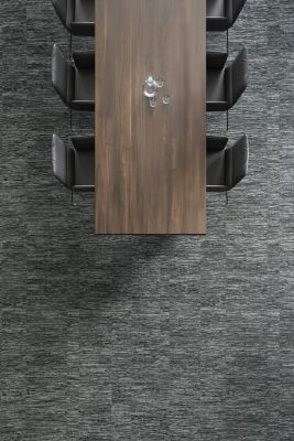 Expanding Influence - Transilient Shadow - Cement 955 - Definity Broadloom