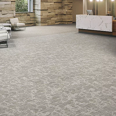 Healthy Environments Carpet - Xeric - 867, Acoma - Carpet Tile