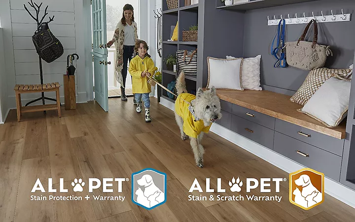 <h3>All Pets. All Accidents. All the Time.</h3>