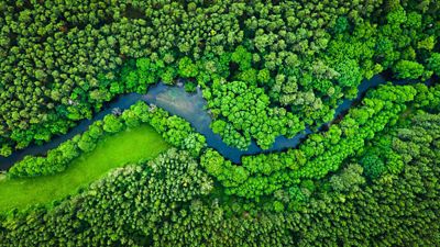 Sustainability