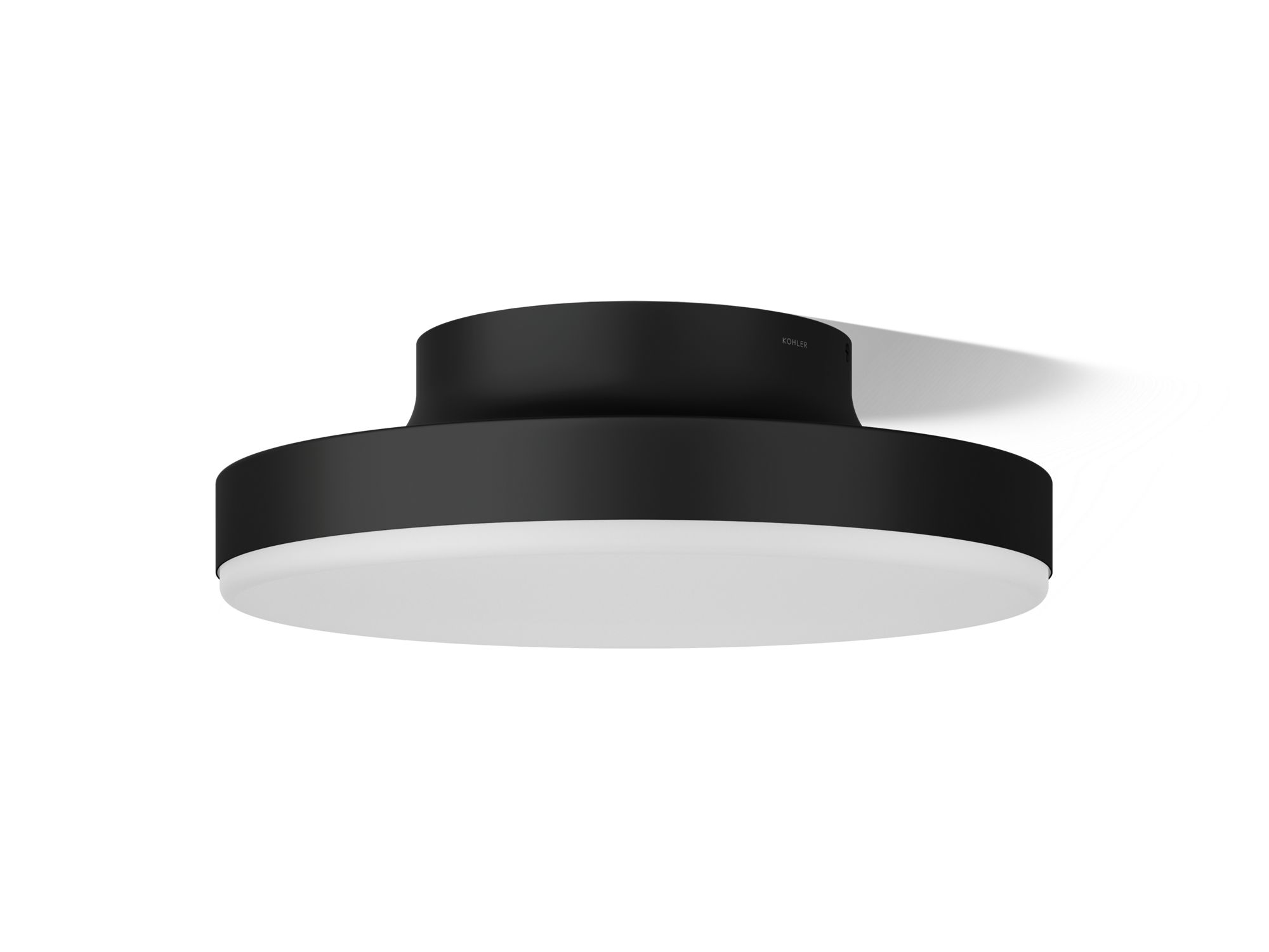 Decorative Flush Mount Ceiling Lights