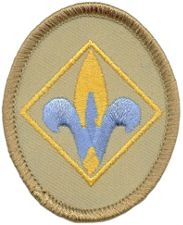 CUB Scout Webelos TAN Rank Merit Badge Patch BOY BSA | eBay