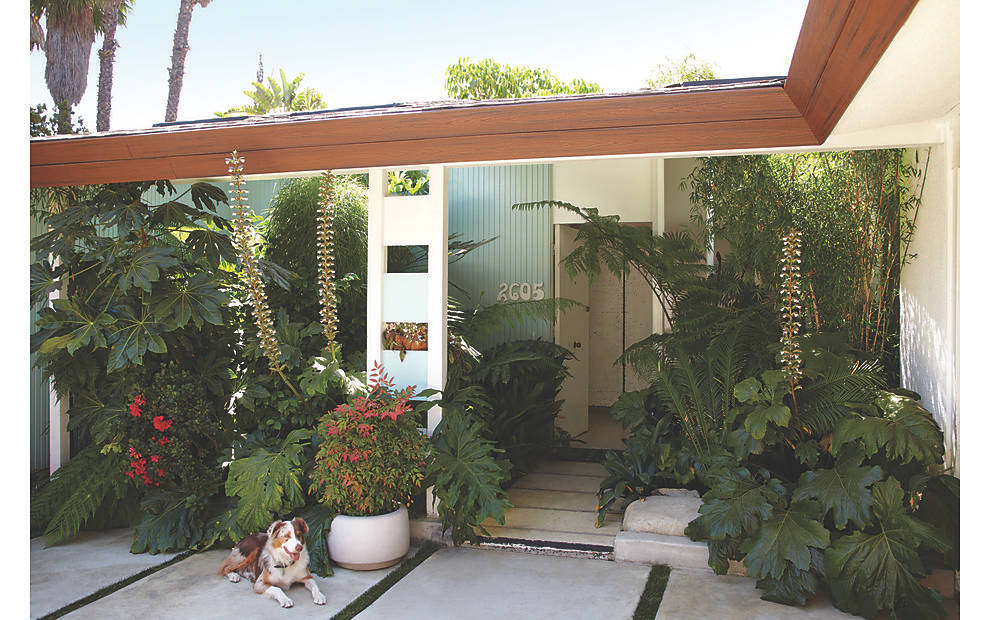 Jamie Durie nutzt Trex-Fascia in Spiced Rum für sein Designerhaus