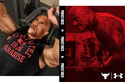 project the rock
