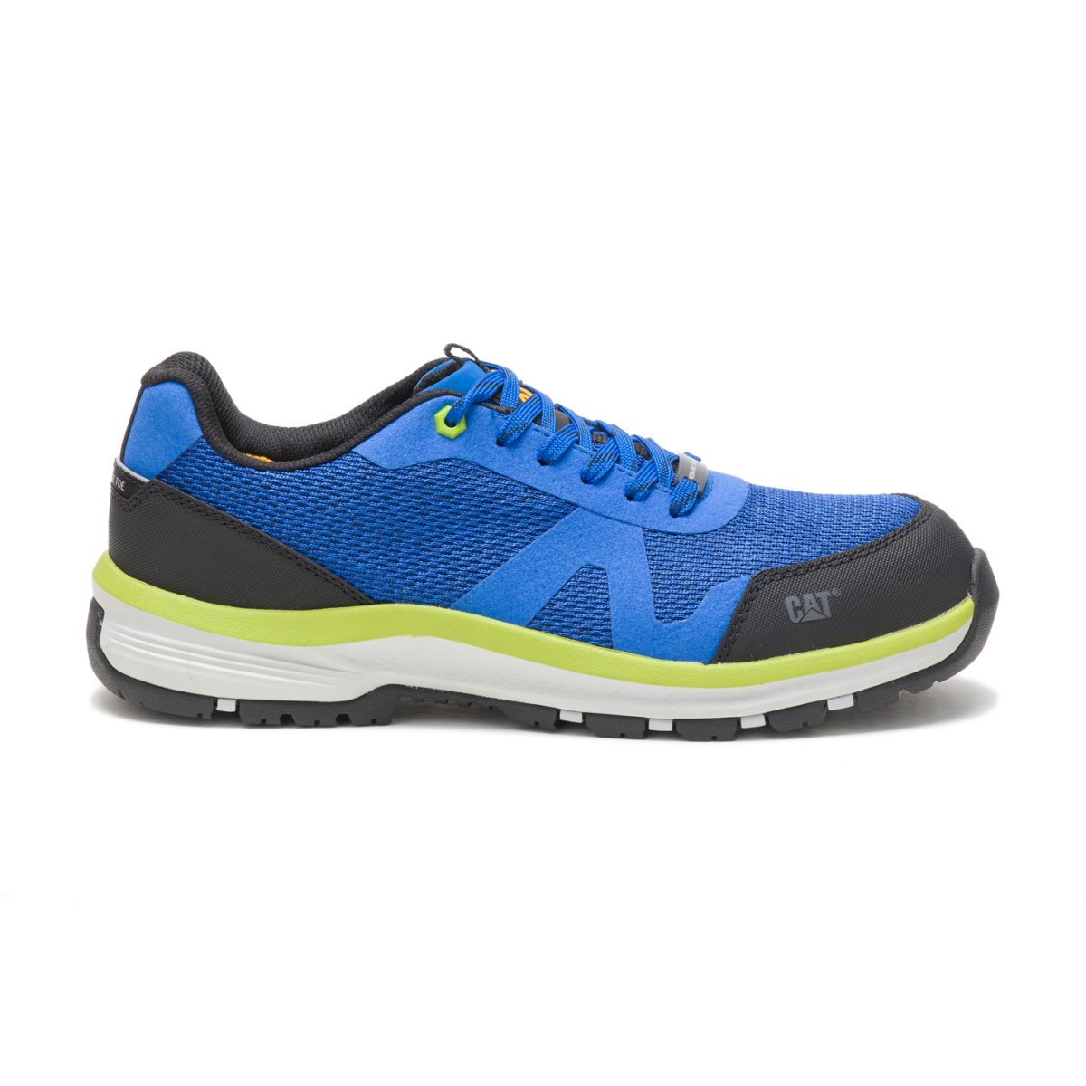 cat shoes blue
