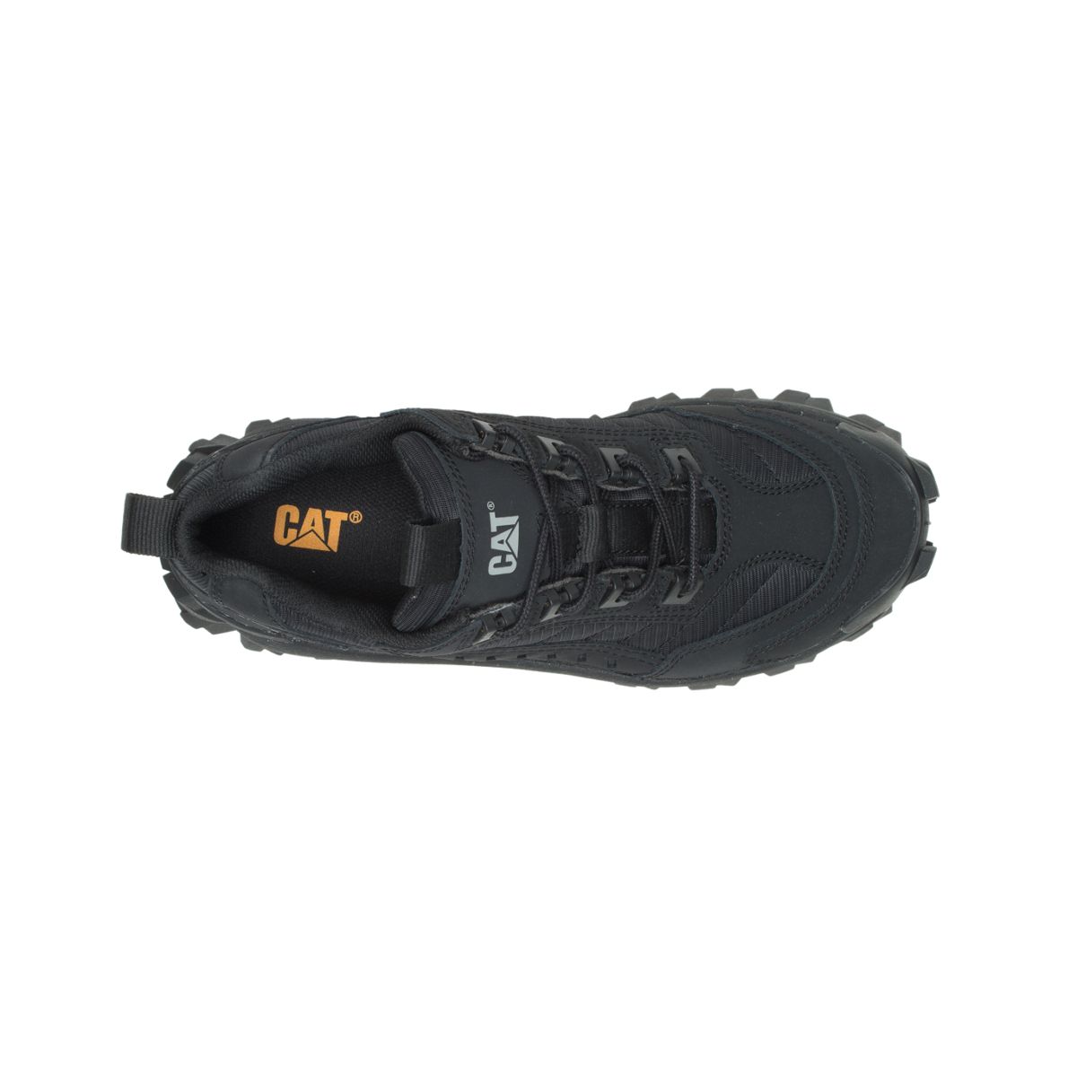 Intruder Shoe, Blackout, dynamic 6