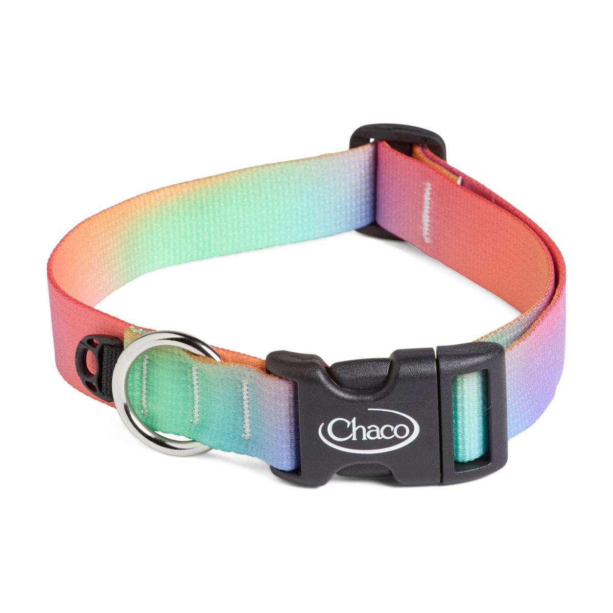 Aura Dog Collars, Luster, dynamic 1