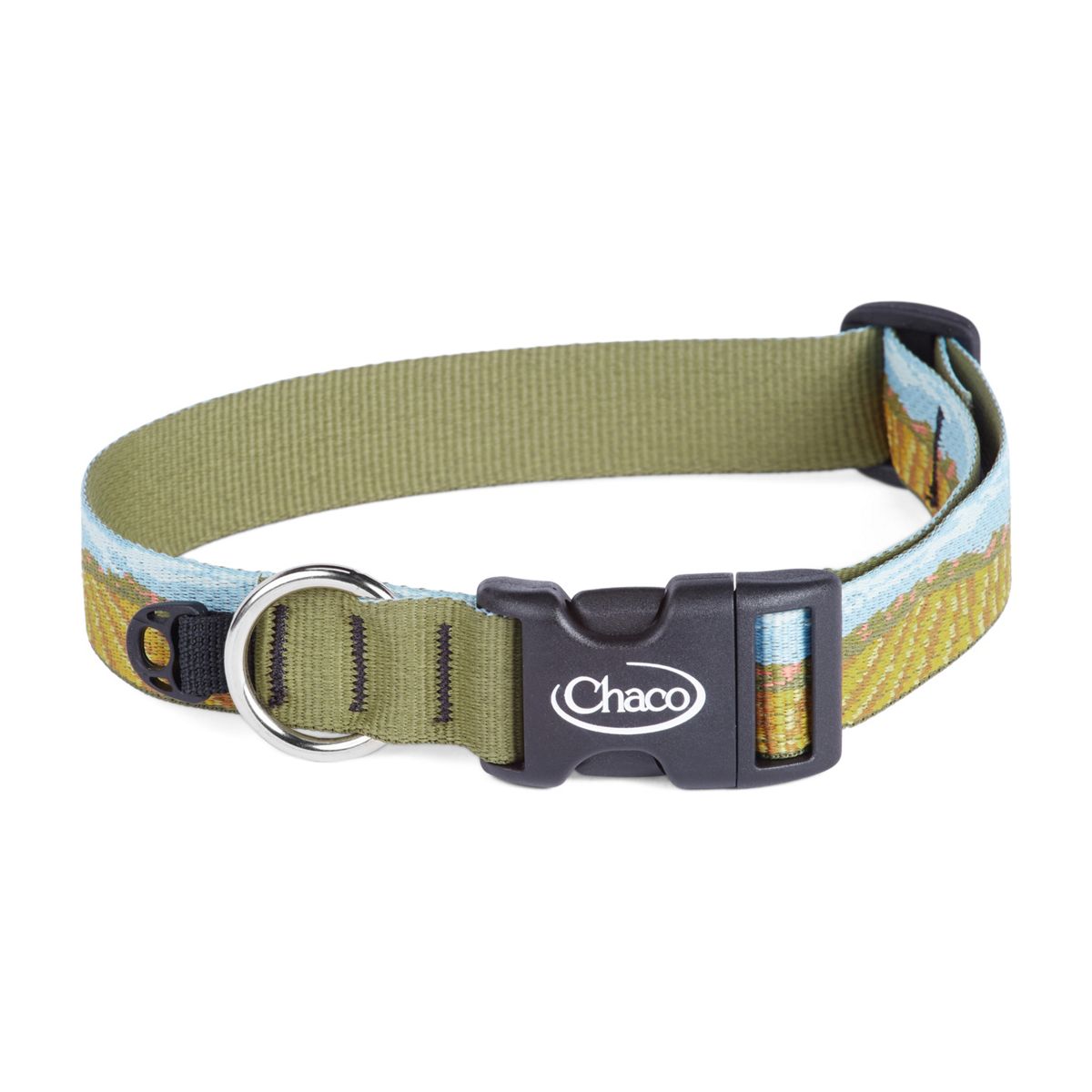 Dog Collars Accessories Pets Chaco